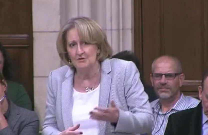 Mary speaking in the Cycling: Government Investment Debate